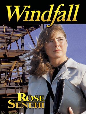 cover image of WINDFALL